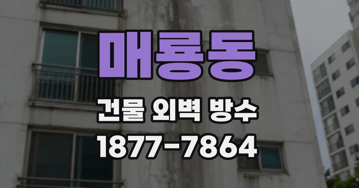 매룡동 건물 외벽 방수