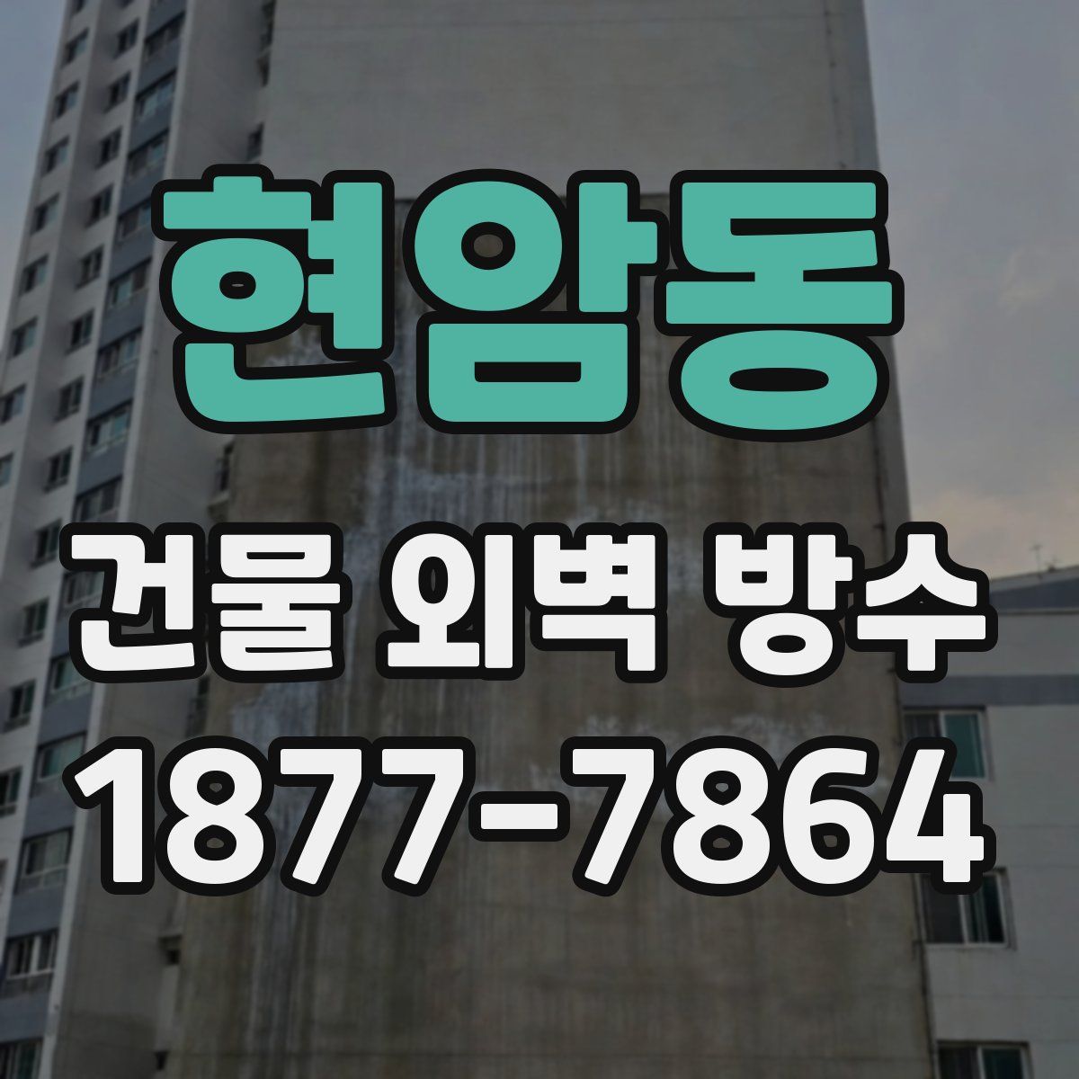 현암동 건물 외벽 방수