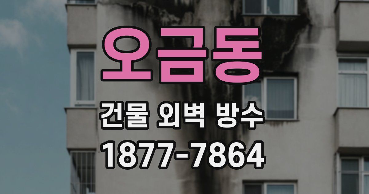 오금동 건물 외벽 방수