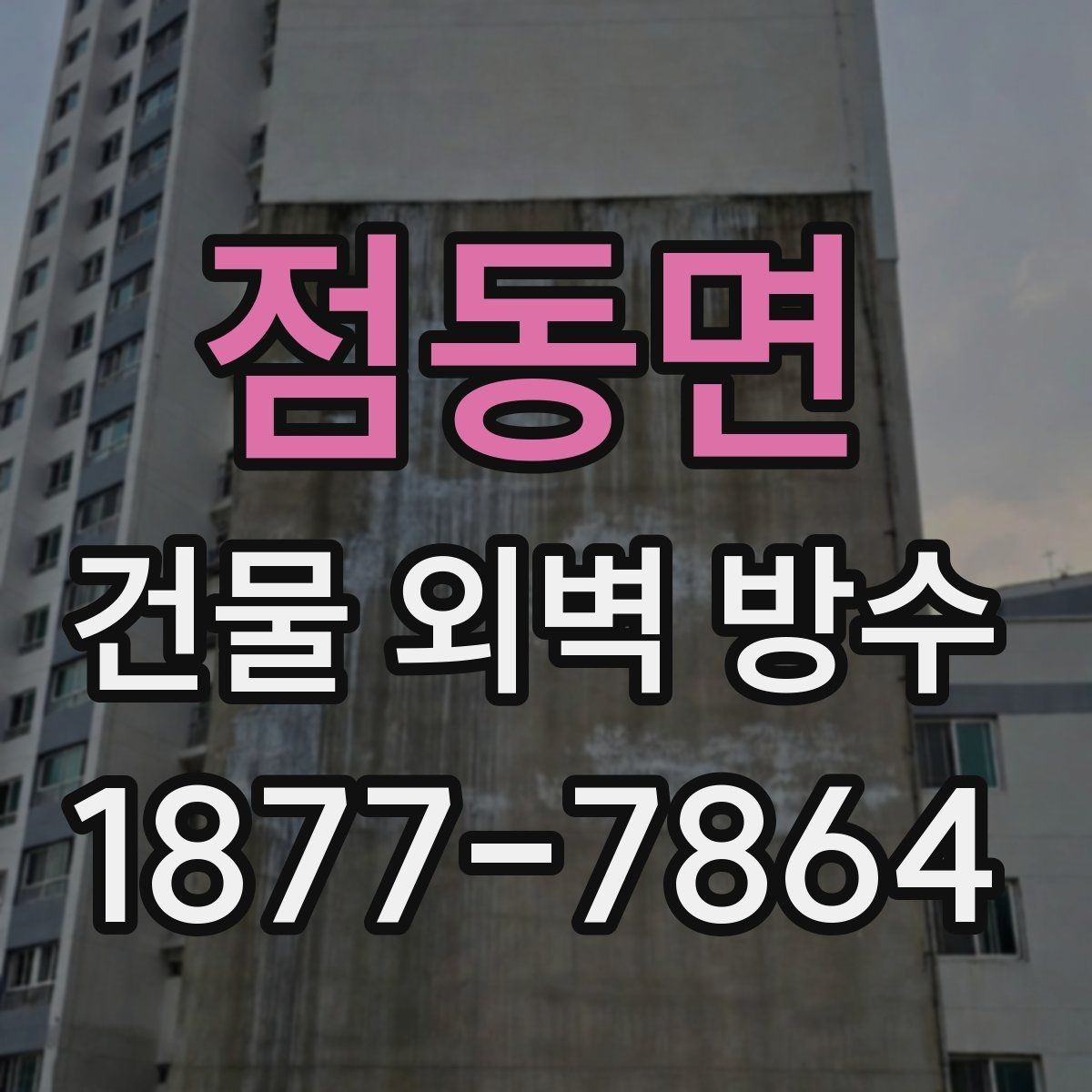 점동면 건물 외벽 방수 업체 선택 기준