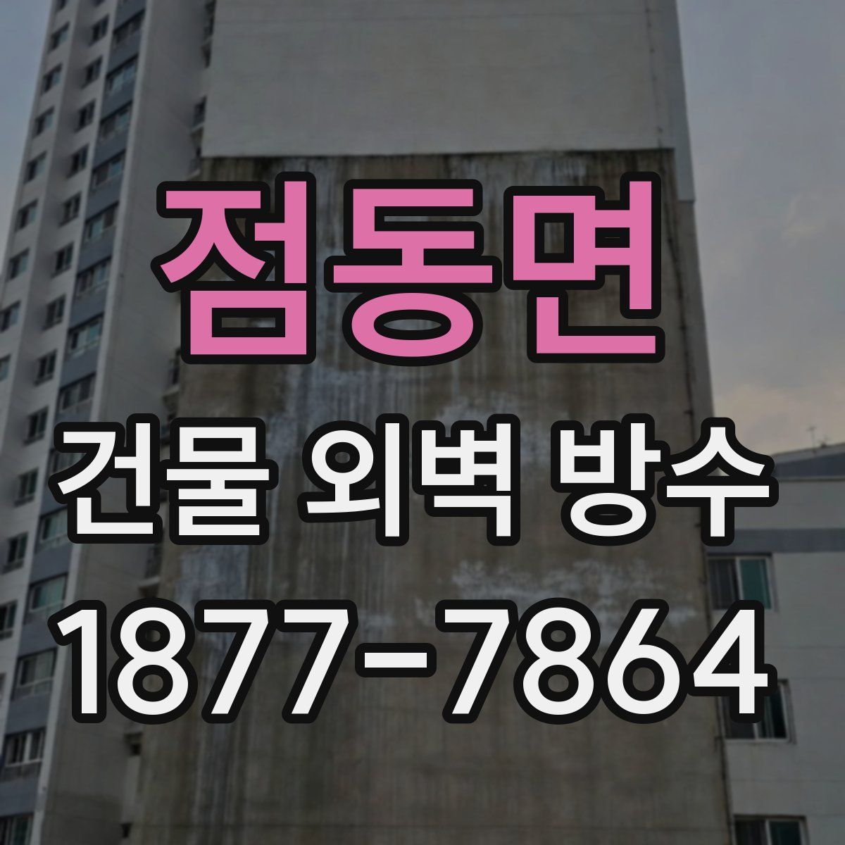 점동면 건물 외벽 방수