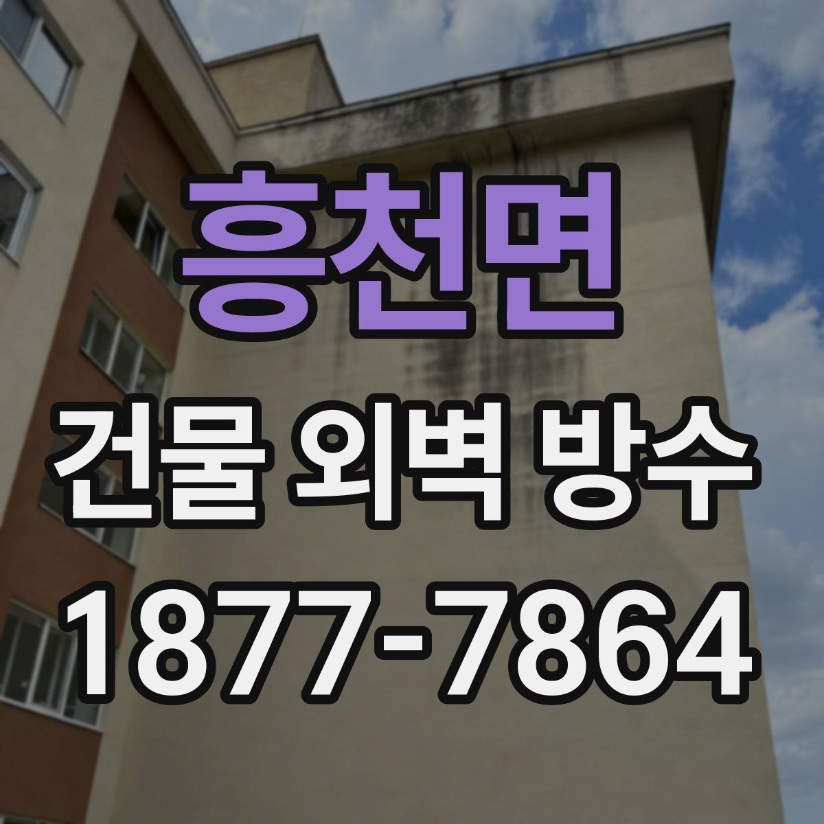 흥천면 건물 외벽 방수