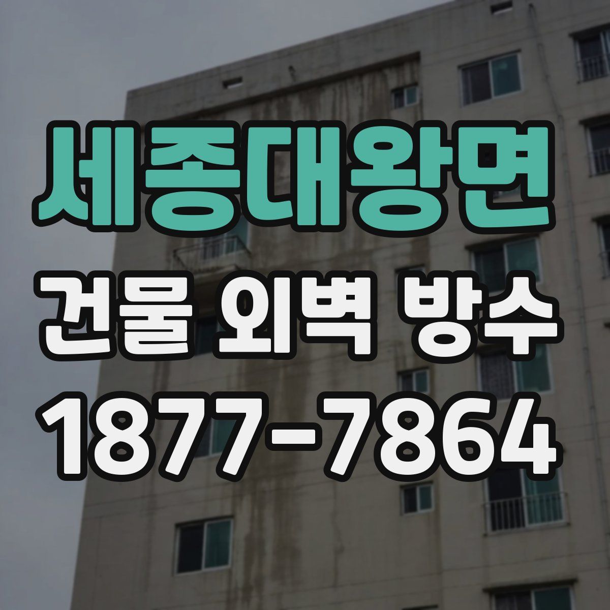 세종대왕면 건물 외벽 방수