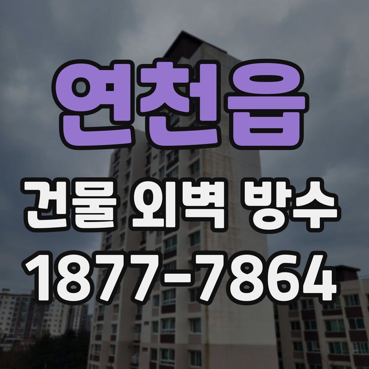 연천읍 건물 외벽 방수 벽체 손상 정도에 따른 보수 선택