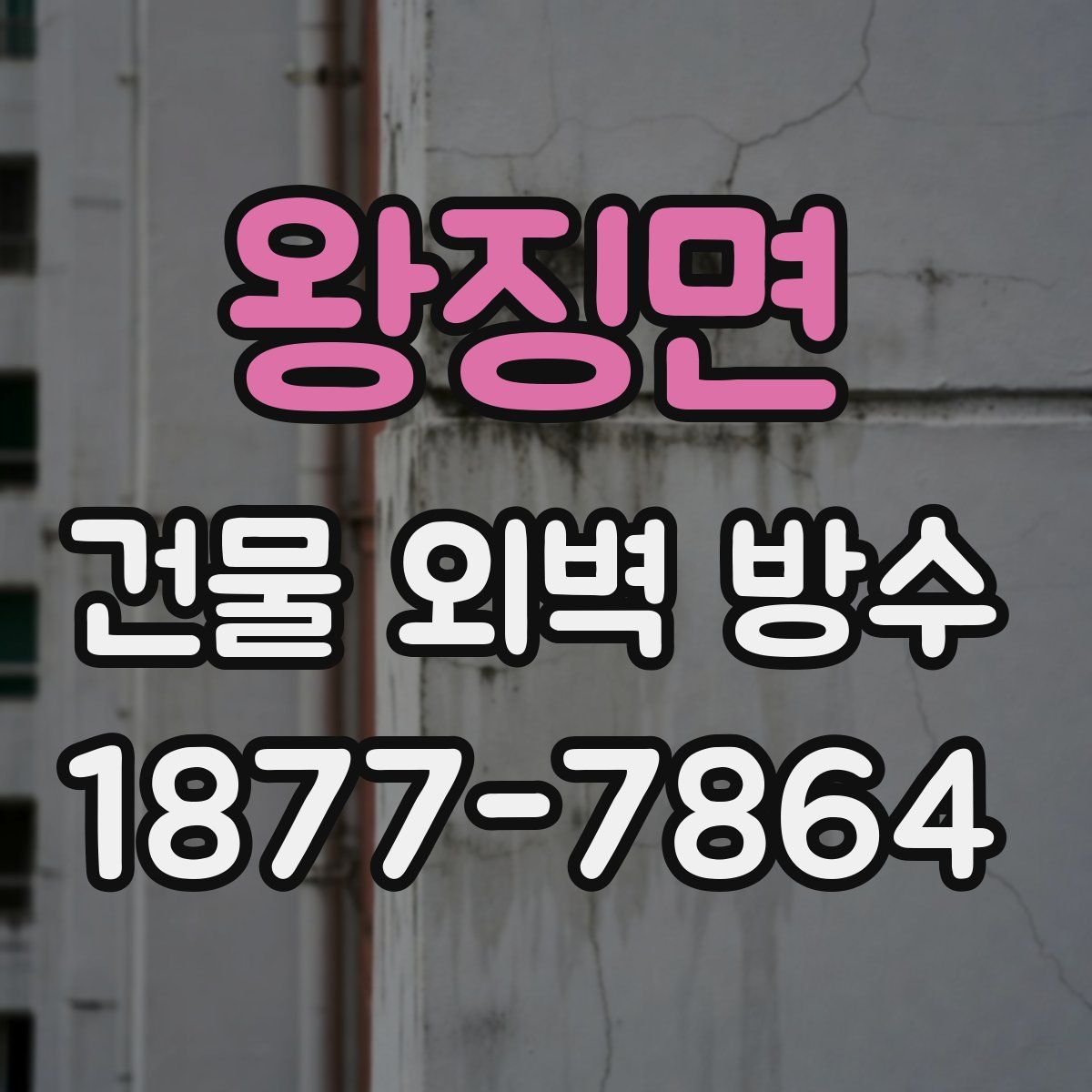 왕징면 건물 외벽 방수