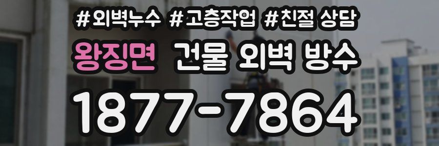 왕징면 건물 외벽 방수