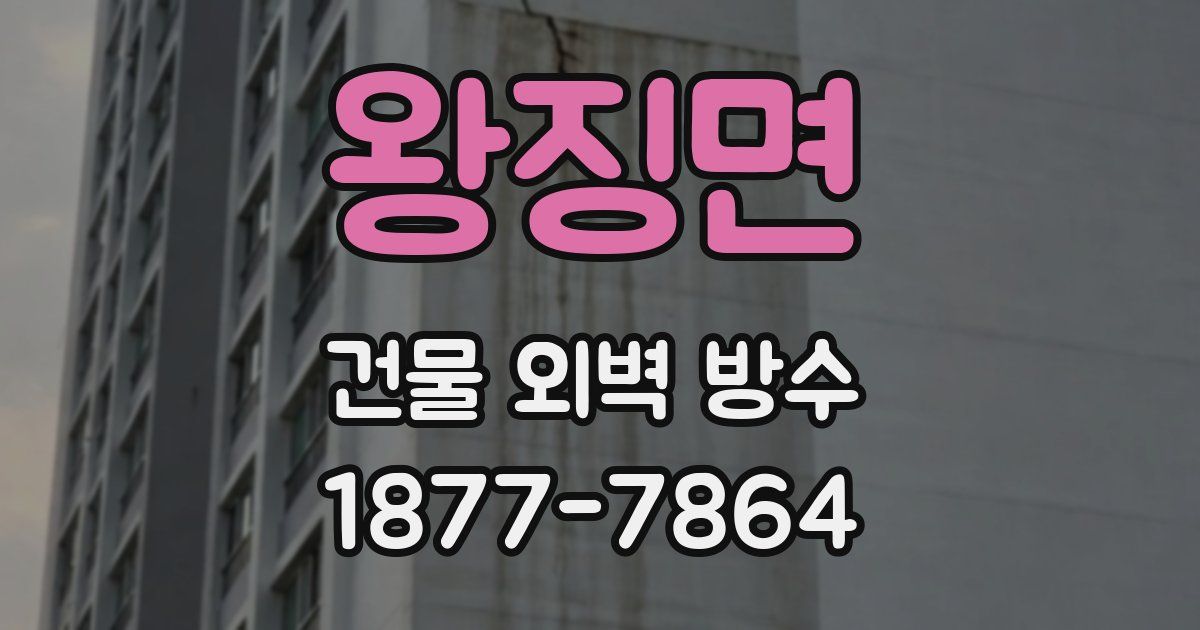왕징면 건물 외벽 방수