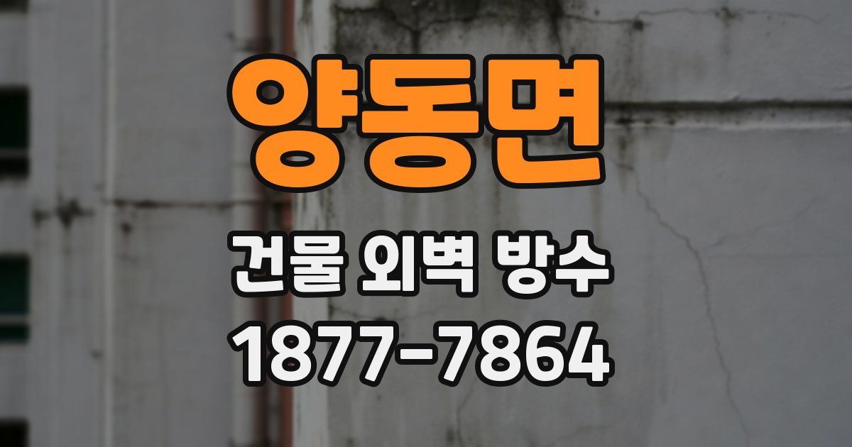 양동면 건물 외벽 방수