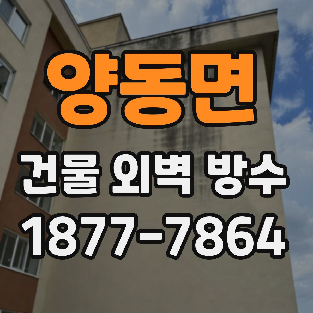 양동면 건물 외벽 방수