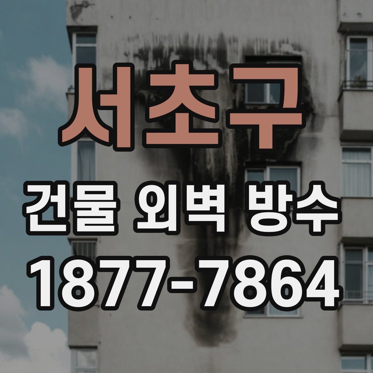 서초구 건물 외벽 방수