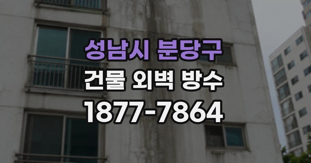 성남시 분당구 건물 외벽 방수