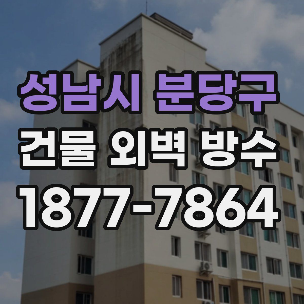 성남시 분당구 건물 외벽 방수