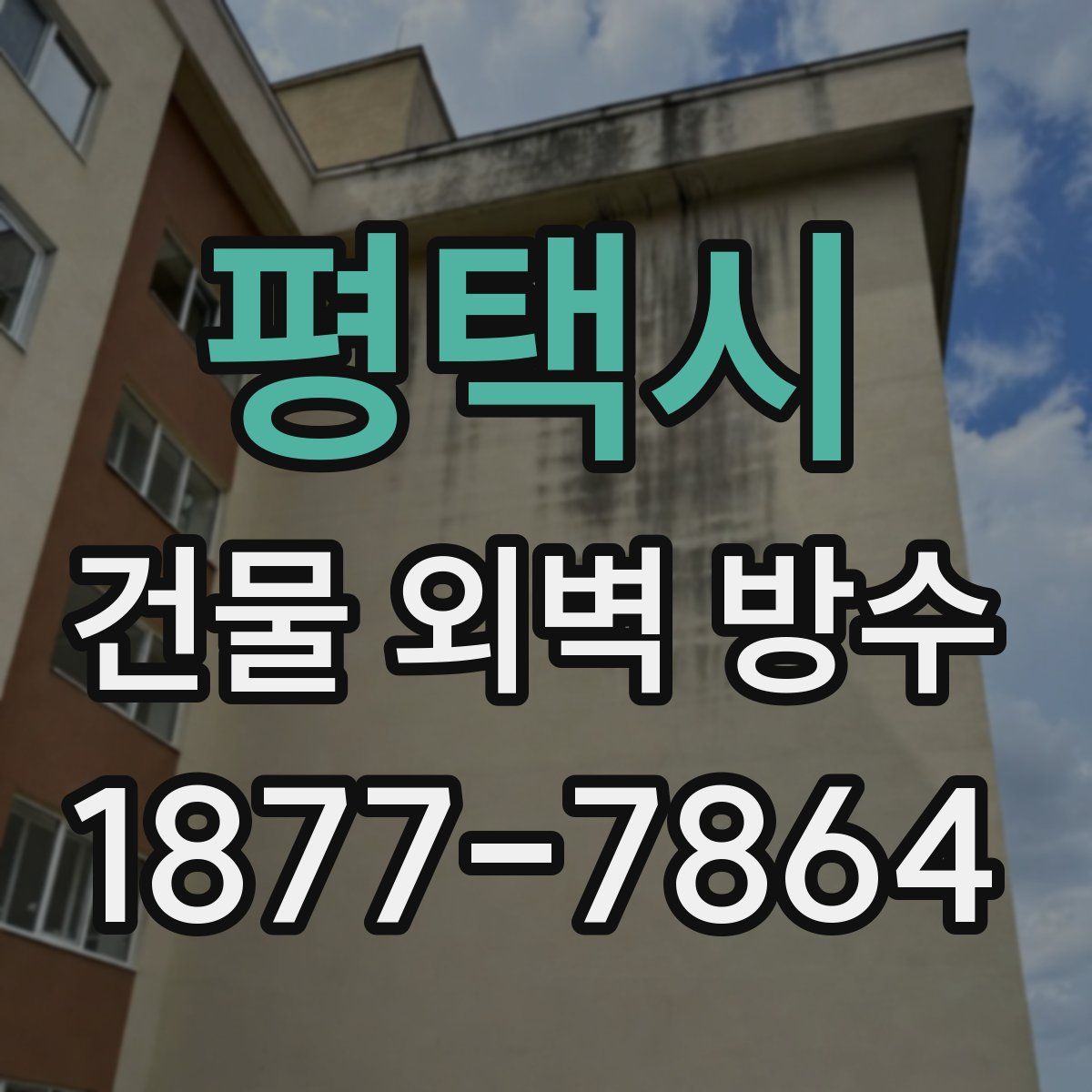 평택시 건물 외벽 방수