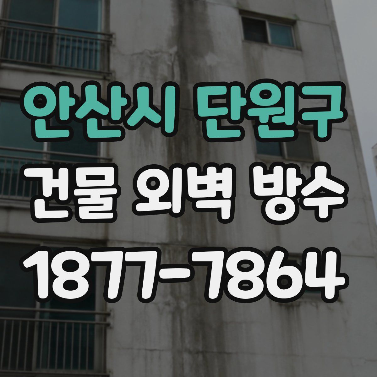 안산시 단원구 건물 외벽 방수