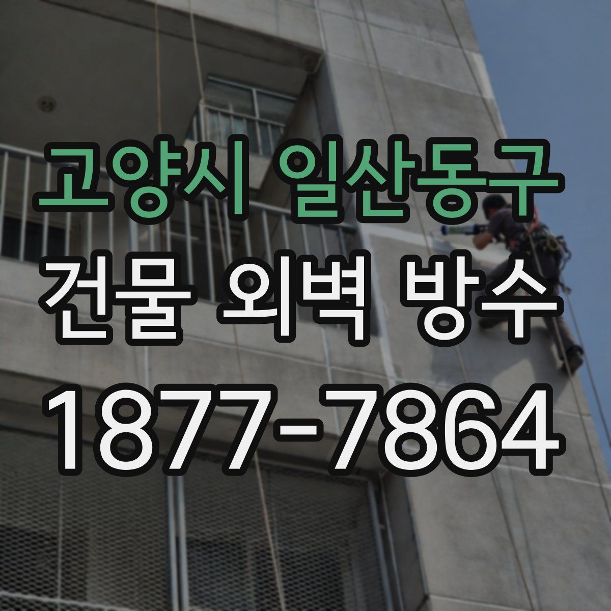 고양시 일산동구 건물 외벽 방수