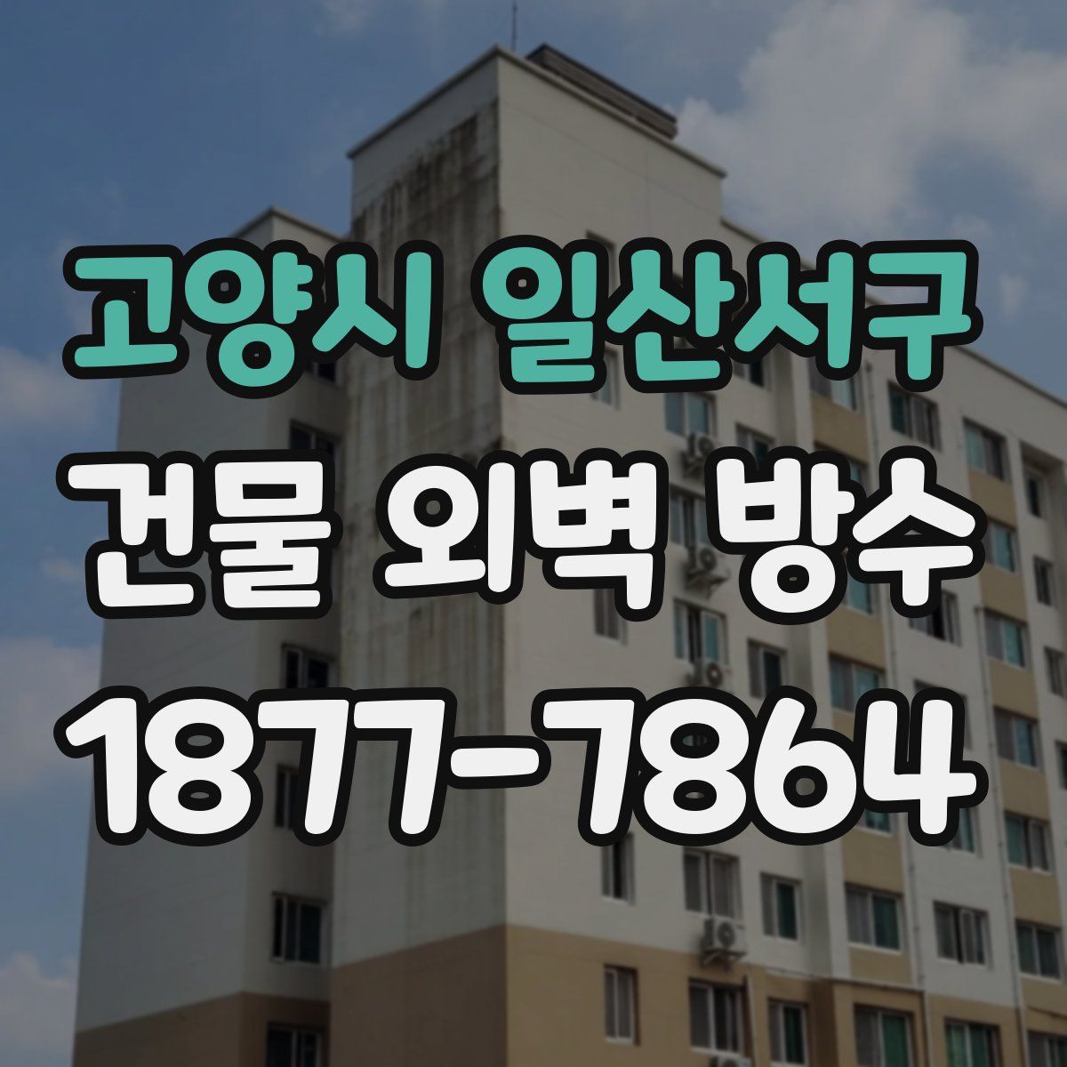 고양시 일산서구 건물 외벽 방수