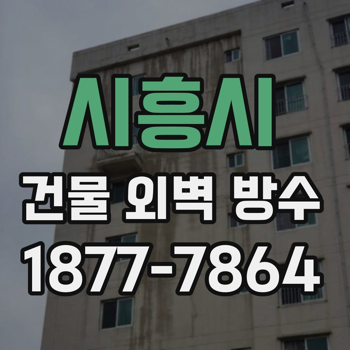 시흥시 건물 외벽 방수