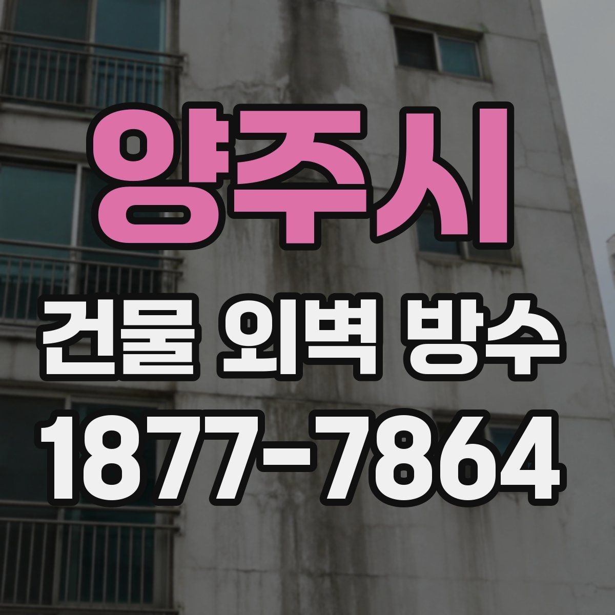 양주시 건물 외벽 방수 일정 잡을 때 고려할 점