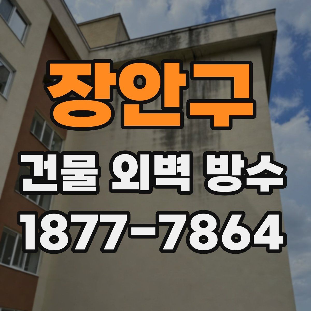 장안구 건물 외벽 방수 자재 비교로 알아보는 적합한 선택