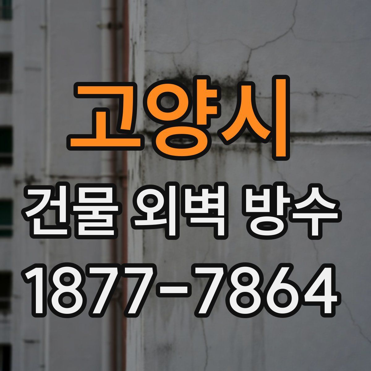 고양시 건물 외벽 방수
