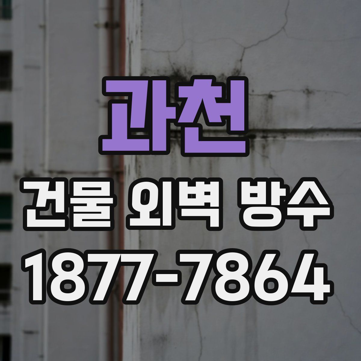 과천 건물 외벽 방수