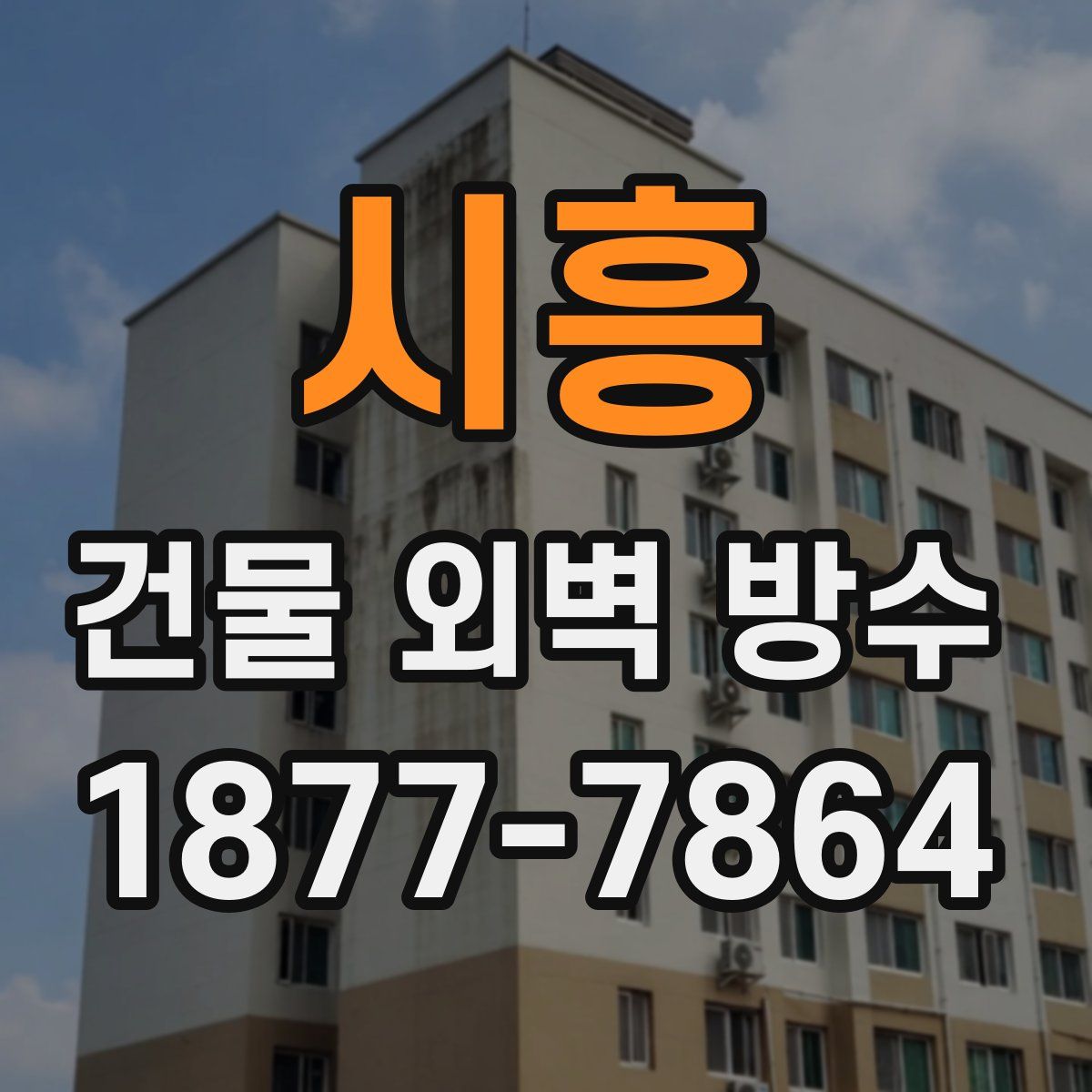 시흥 건물 외벽 방수