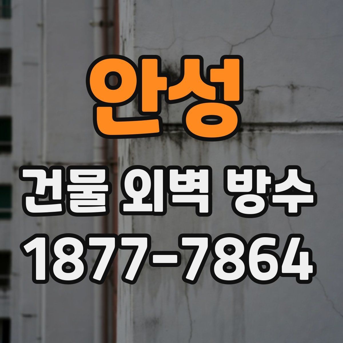안성 건물 외벽 방수 업체 후기 볼 때 확인할 부분