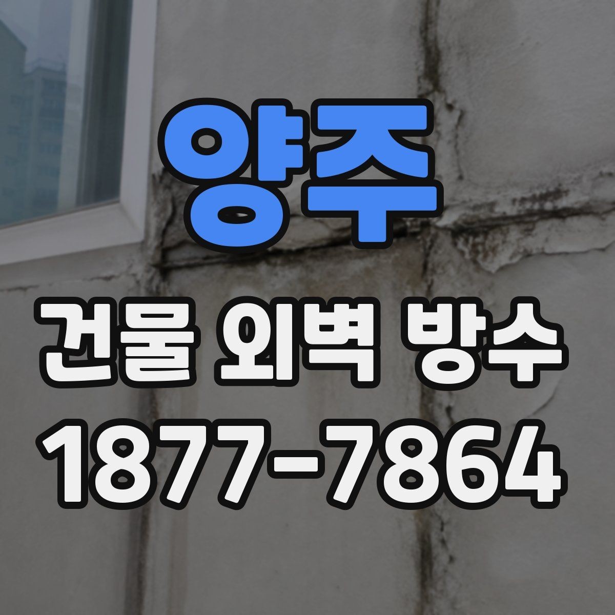 양주 건물 외벽 방수 공법 선택 시 건물 구조를 보는 이유