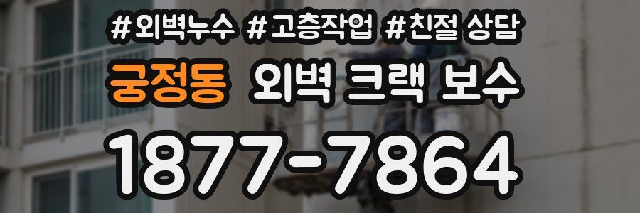 궁정동 외벽 크랙 보수