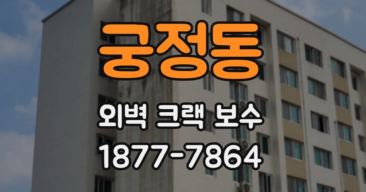 궁정동 외벽 크랙 보수