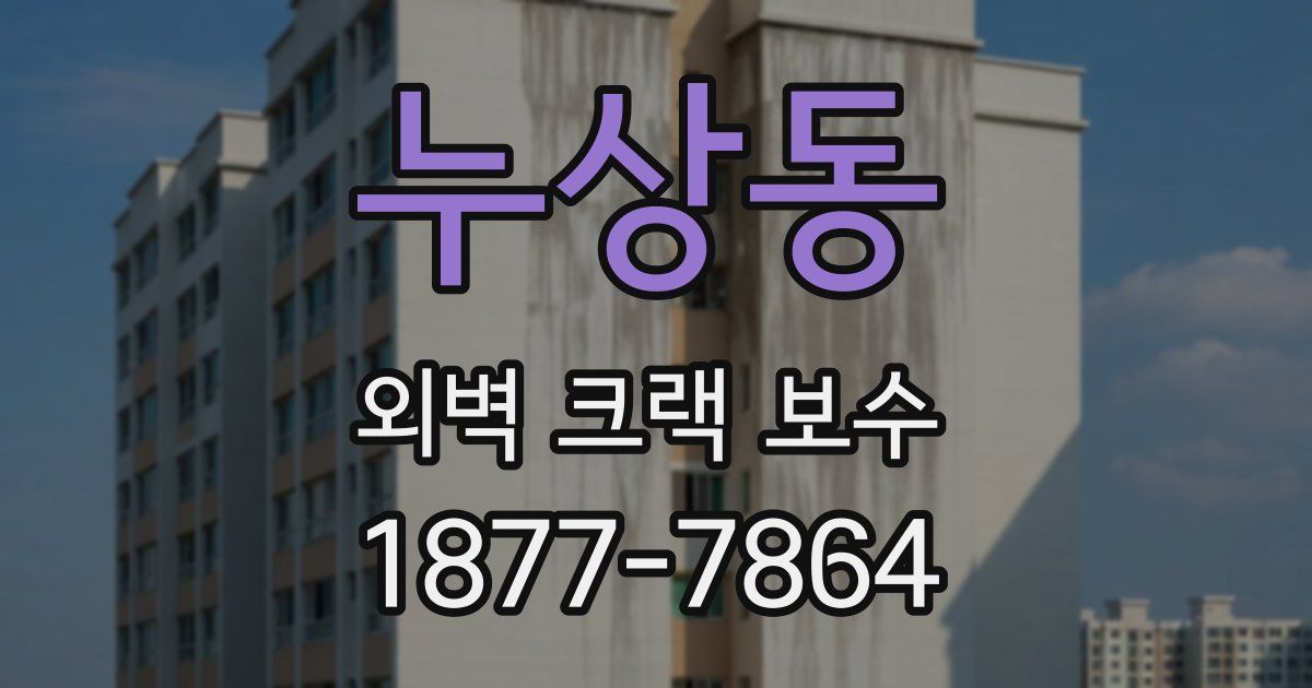 누상동 외벽 크랙 보수
