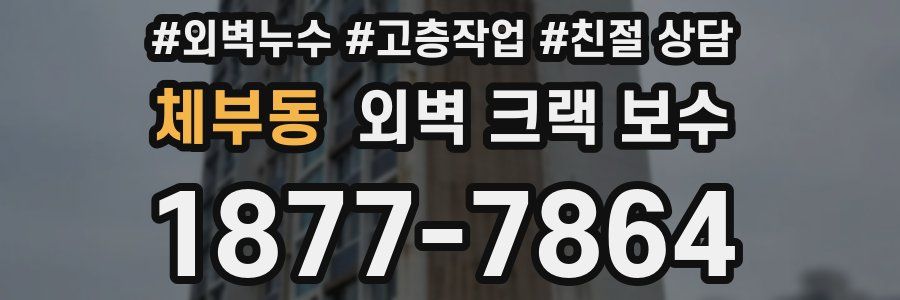 체부동 외벽 크랙 보수