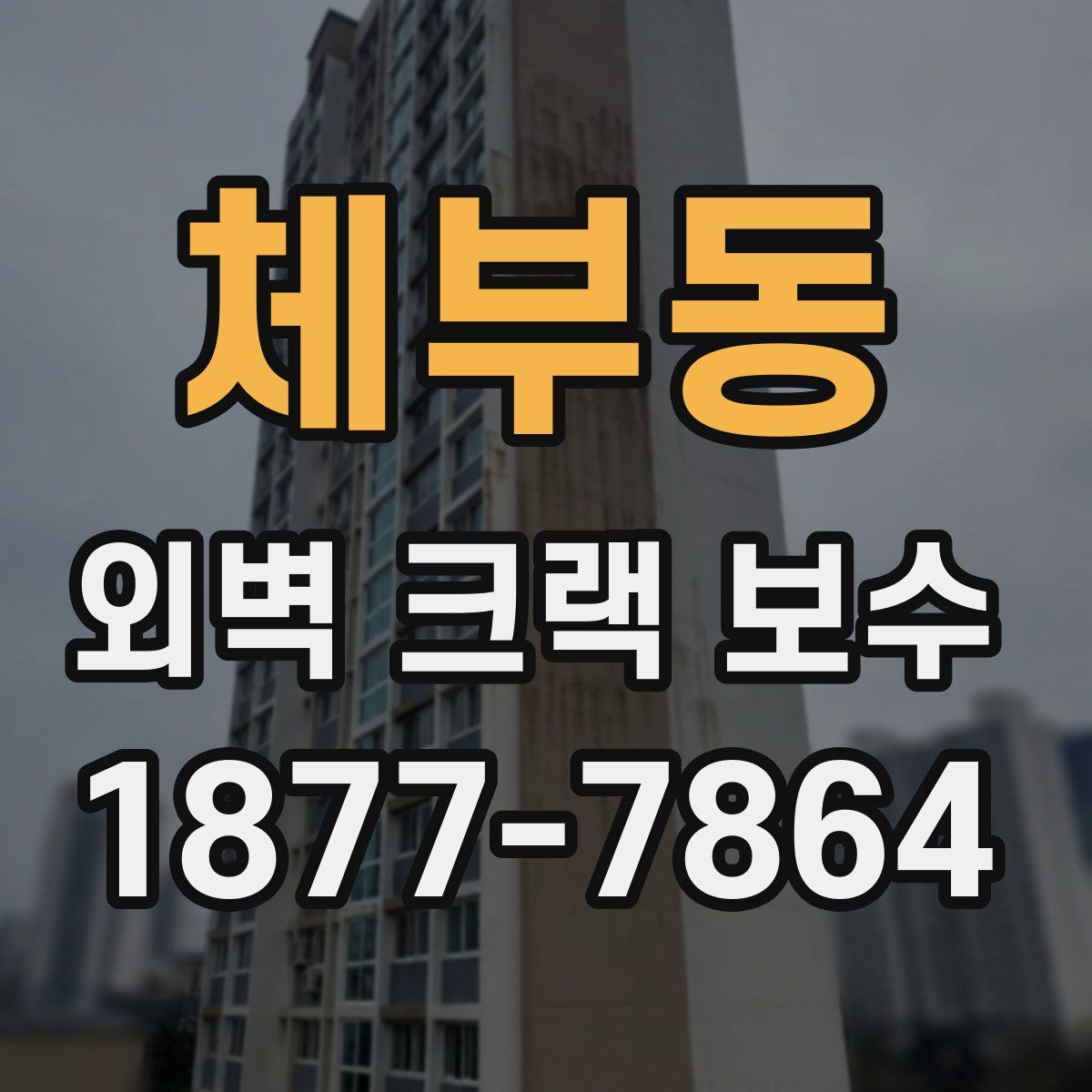 체부동 외벽 크랙 보수