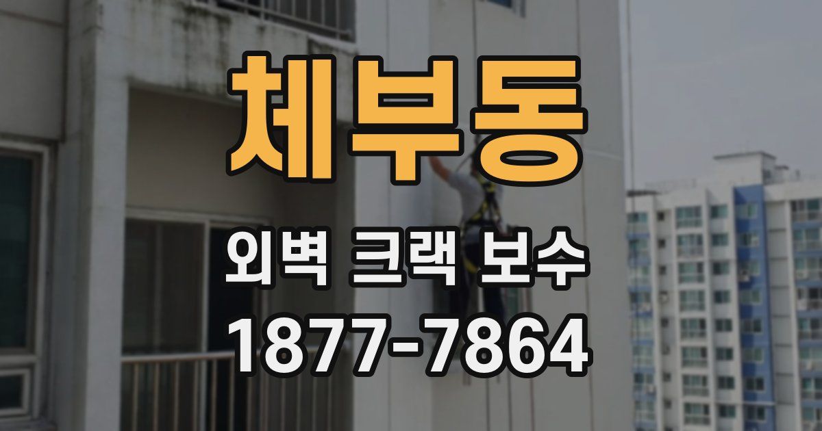 체부동 외벽 크랙 보수