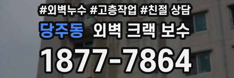 당주동 외벽 크랙 보수