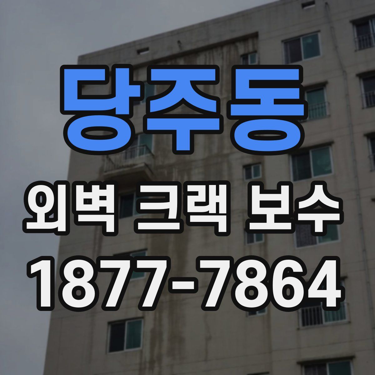 당주동 외벽 크랙 보수