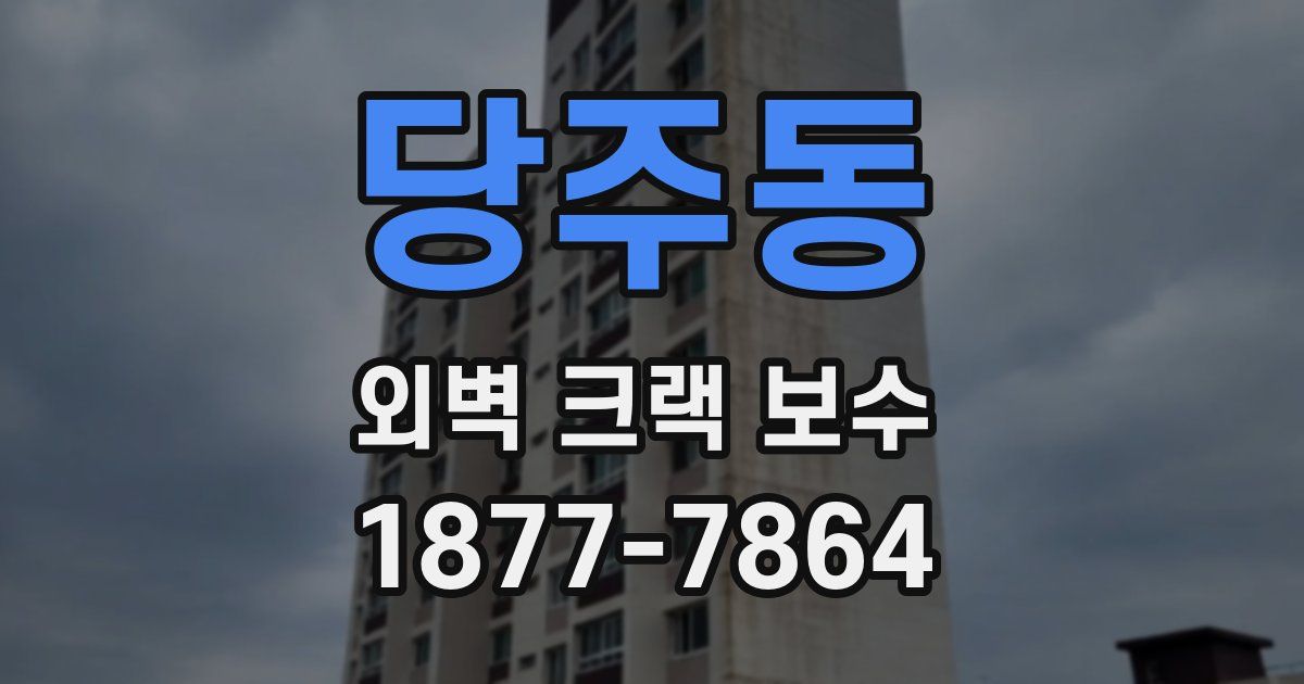 당주동 외벽 크랙 보수