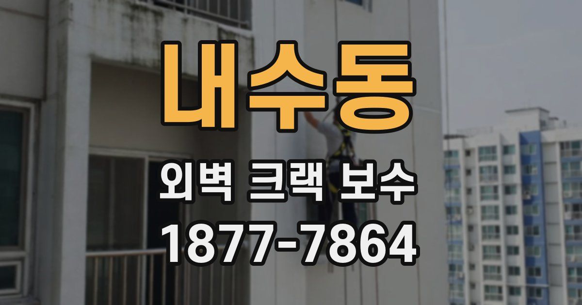 내수동 외벽 크랙 보수