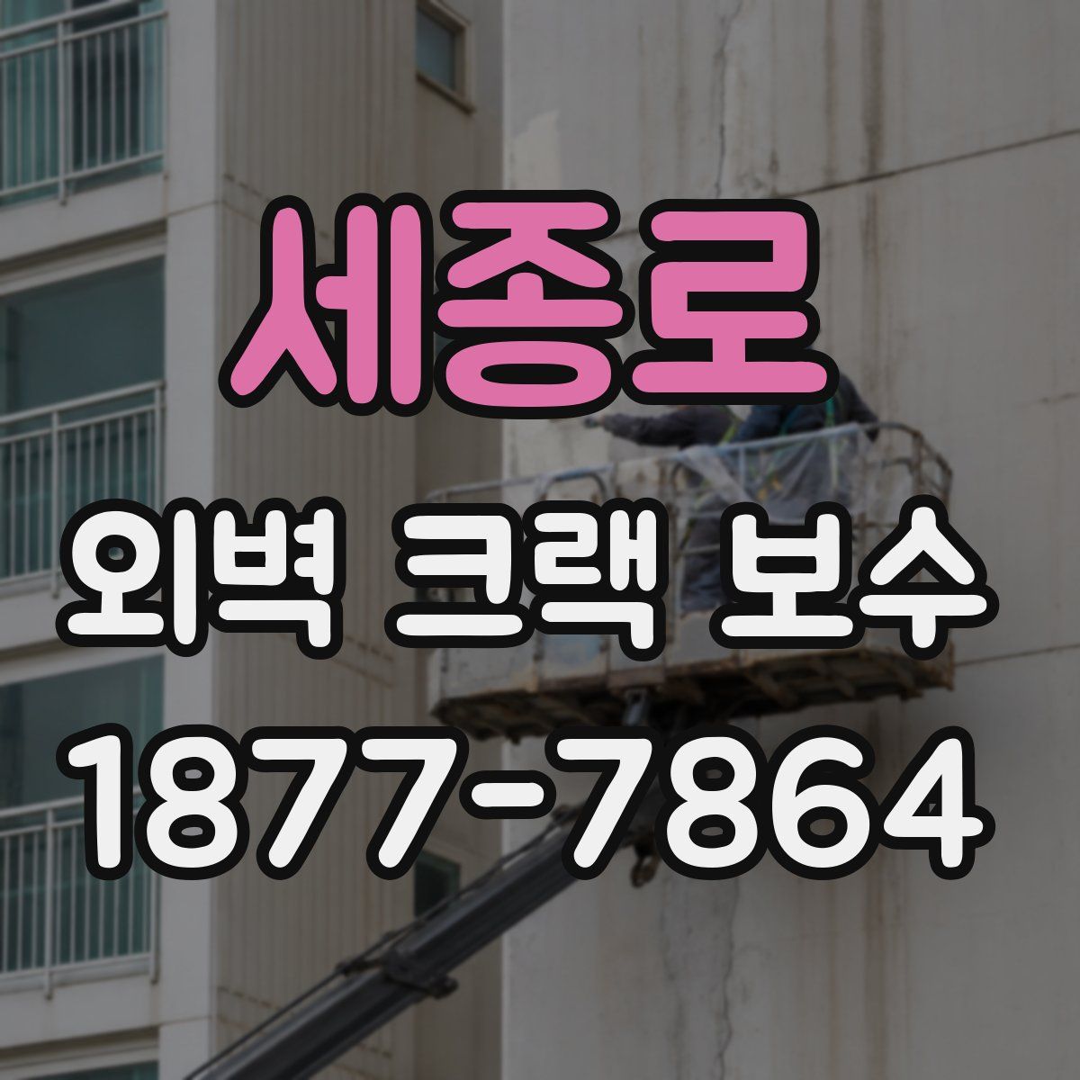 세종로 외벽 크랙 보수