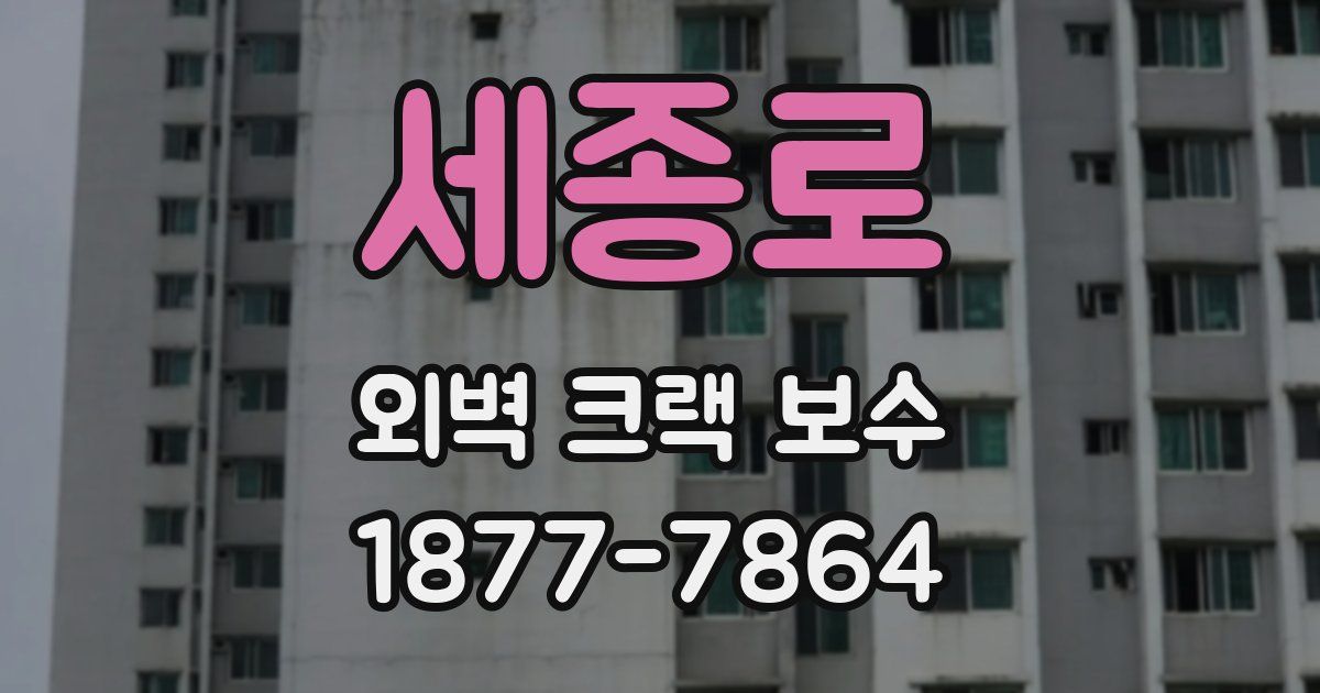 세종로 외벽 크랙 보수