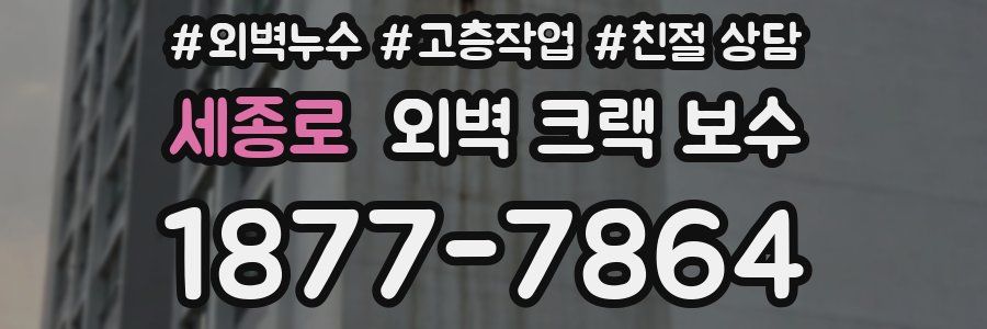 세종로 외벽 크랙 보수