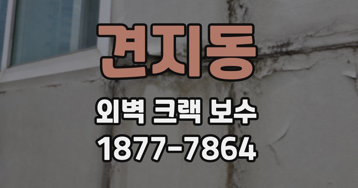 견지동 외벽 크랙 보수