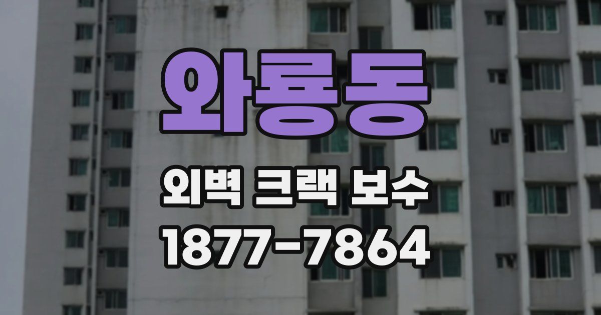 와룡동 외벽 크랙 보수