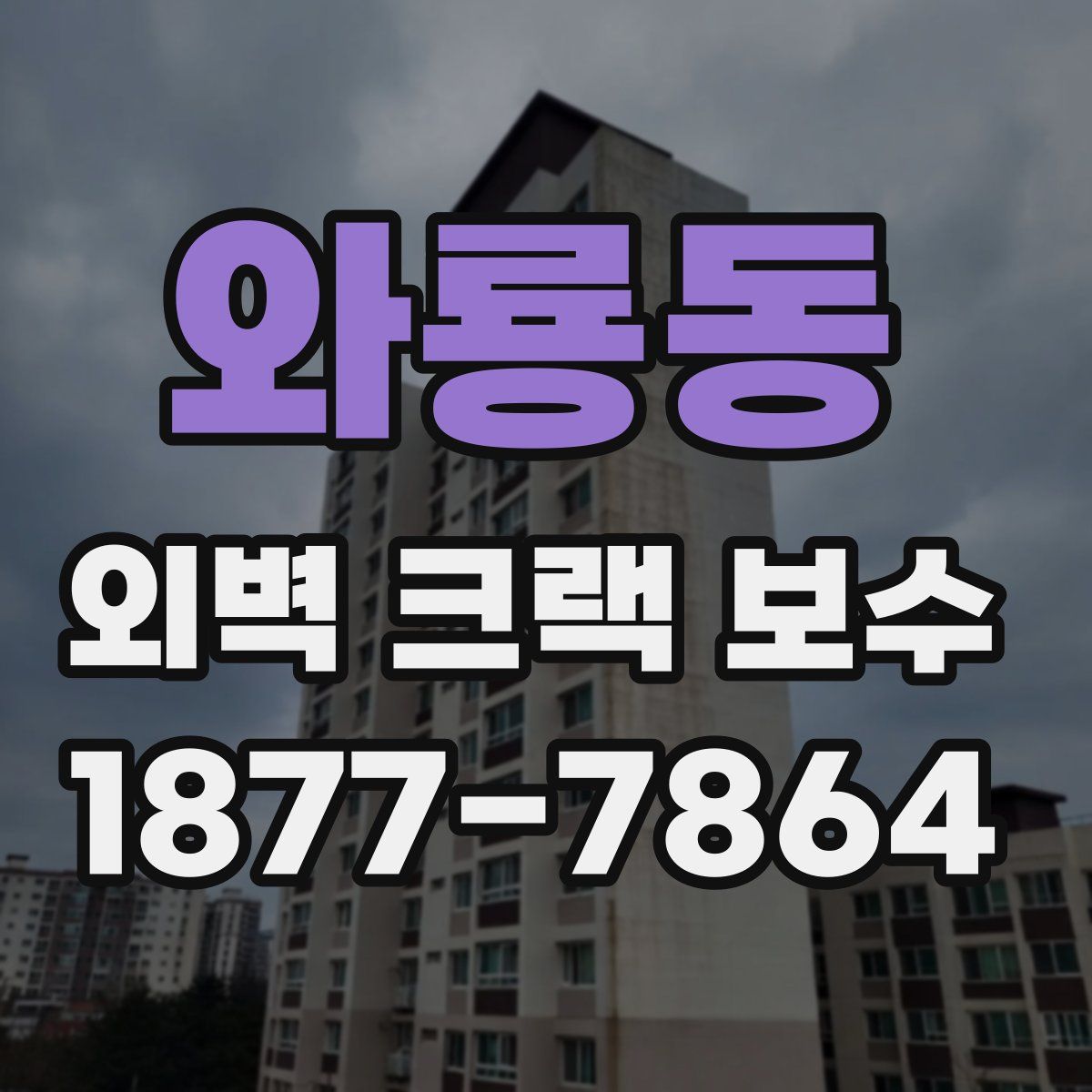 와룡동 외벽 크랙 보수