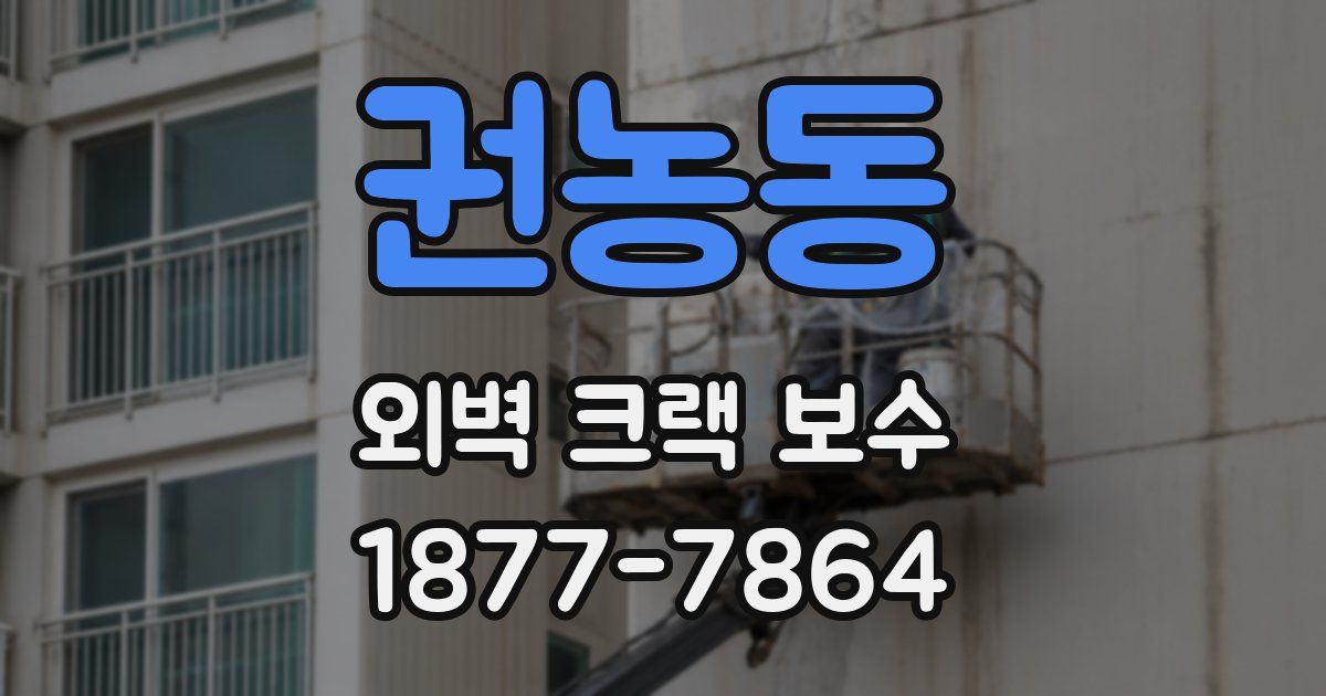 권농동 외벽 크랙 보수