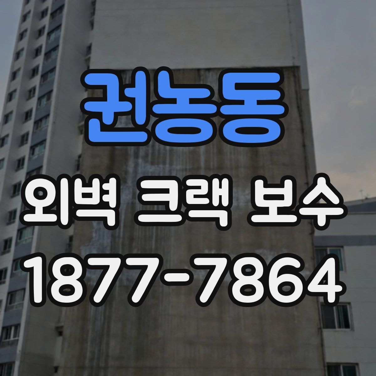 권농동 외벽 크랙 보수