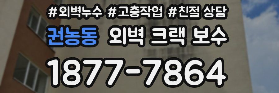 권농동 외벽 크랙 보수