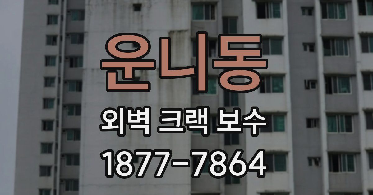 운니동 외벽 크랙 보수