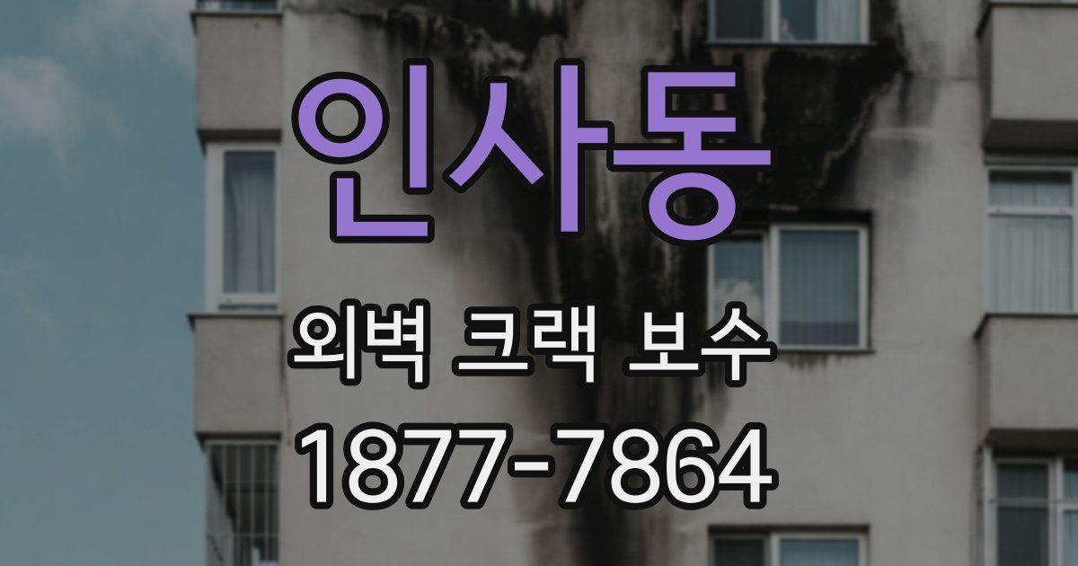 인사동 외벽 크랙 보수