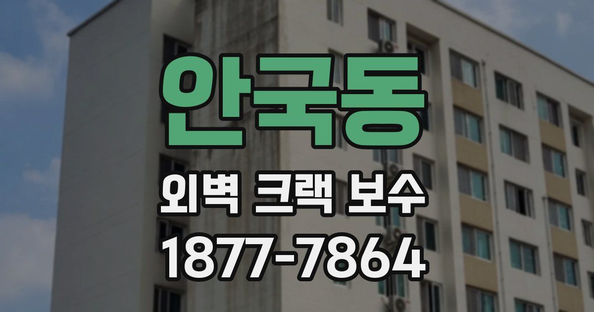 안국동 외벽 크랙 보수
